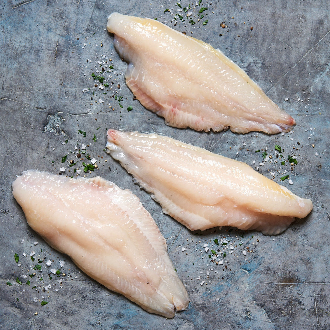 Catfish fresh fish delivery