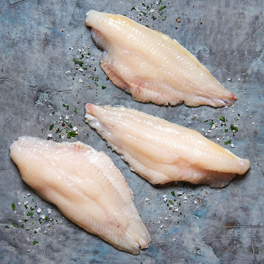 Catfish fresh fish delivery