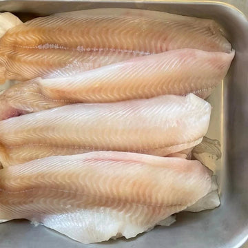 Flounder fresh fish delivery