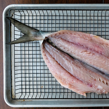 Bluefish fresh fish delivery