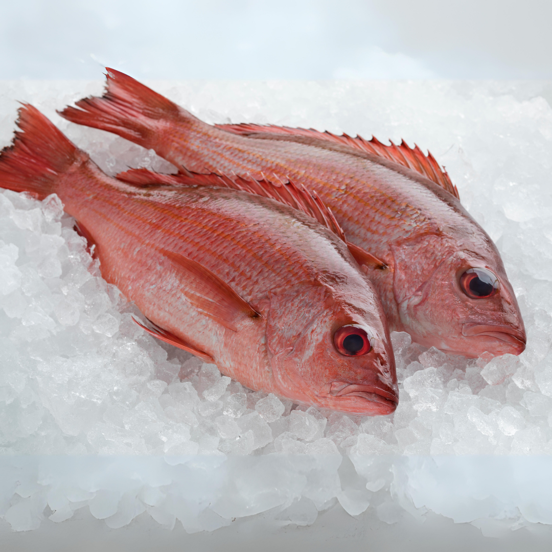 Snapper - Whole Fish