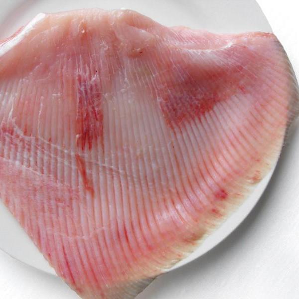Skate Wing Fillet
